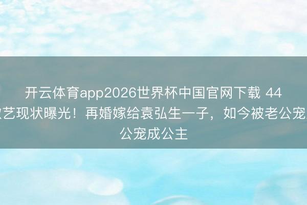 开云体育app2026世界杯中国官网下载 44岁张歆艺现状曝光！再婚嫁给袁弘生一子，如今被老公宠成公主