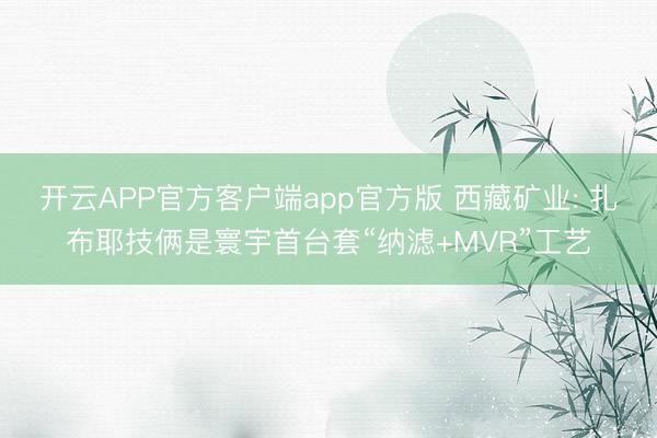 开云APP官方客户端app官方版 西藏矿业: 扎布耶技俩是寰宇首台套“纳滤+MVR”工艺
