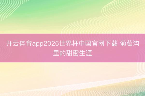 开云体育app2026世界杯中国官网下载 葡萄沟里的甜密生涯